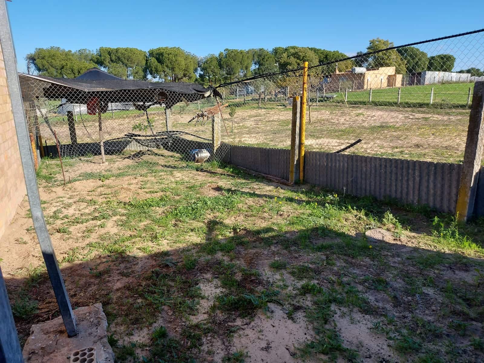 2 sypialnia Finka/Dom wiejski na sprzedaż w Almonte z garażem - 46 000 € (Ref: 8152911)