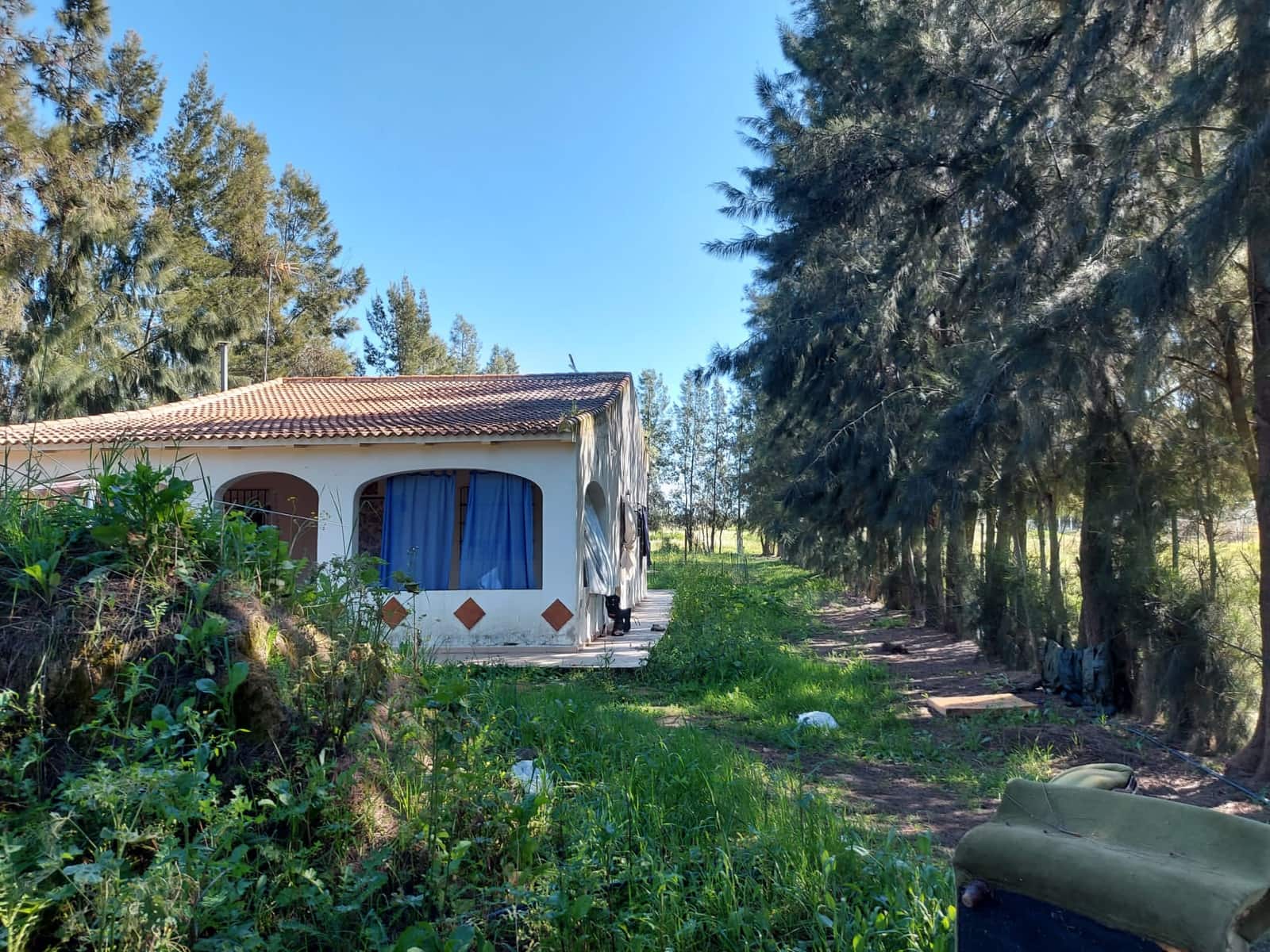 3 bedroom Finca/Country House for sale in Almonte with pool garage €