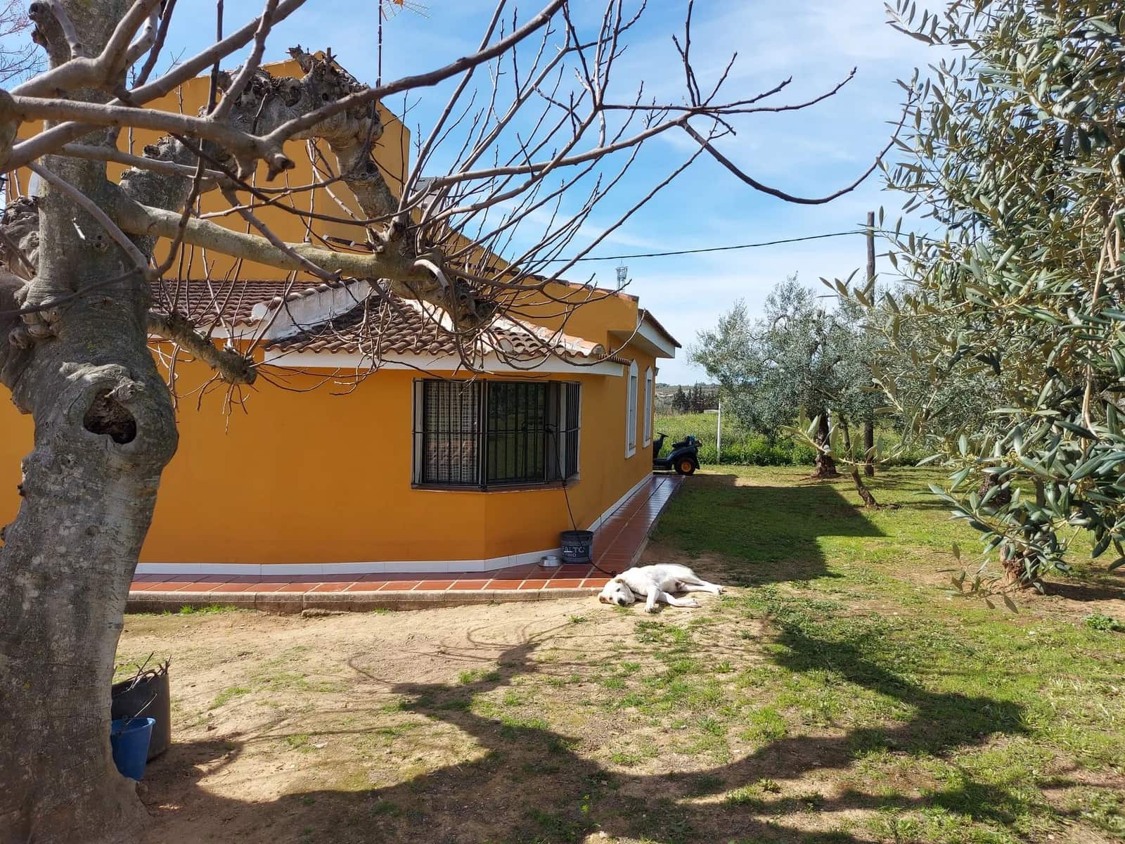 3 quarto Quinta/Casa Rural para venda em Rociana del Condado com piscina garagem - 210 000 € (Ref: 8171766)