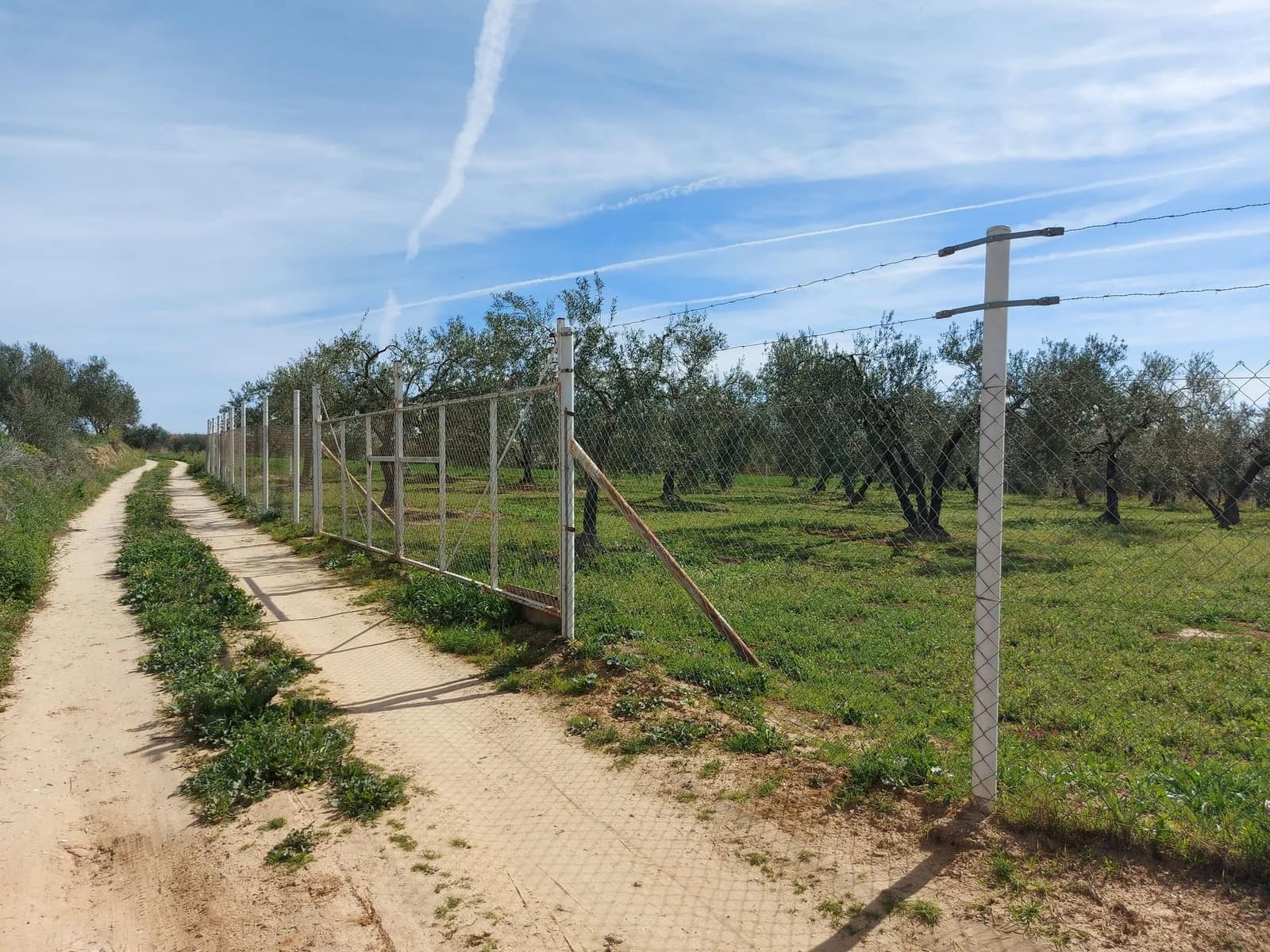 3 quarto Quinta/Casa Rural para venda em Rociana del Condado com piscina garagem - 210 000 € (Ref: 8171766)