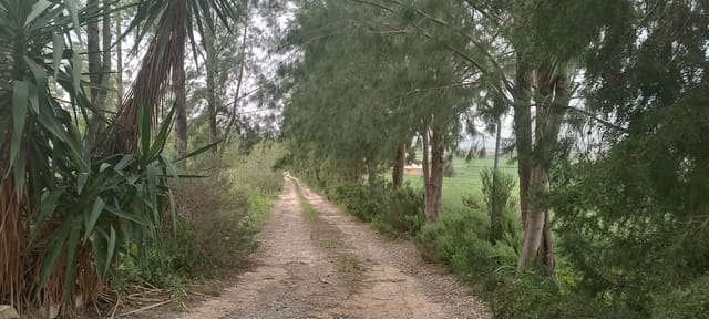 2 camera da letto Finca/Casa di Campagna in vendita in La Palma del Condado con garage - 190.000 € (Rif: 8177676)