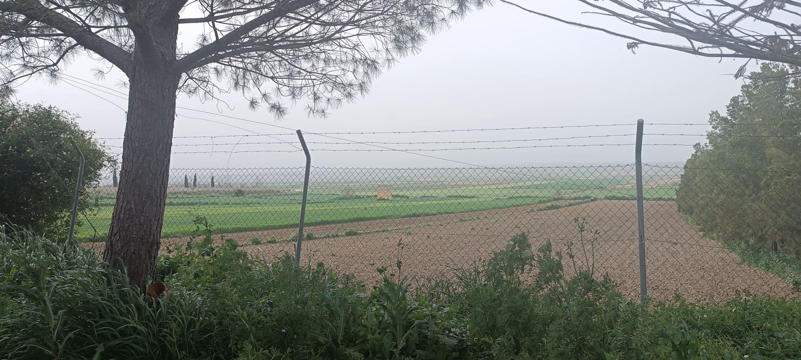 2 camera da letto Finca/Casa di Campagna in vendita in La Palma del Condado con garage - 190.000 € (Rif: 8177676)