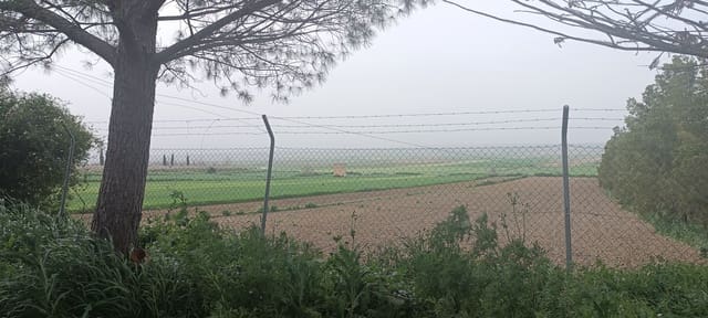 2 camera da letto Finca/Casa di Campagna in vendita in La Palma del Condado con garage - 190.000 € (Rif: 8177676)