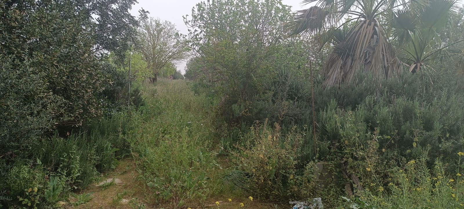 2 camera da letto Finca/Casa di Campagna in vendita in La Palma del Condado con garage - 190.000 € (Rif: 8177676)