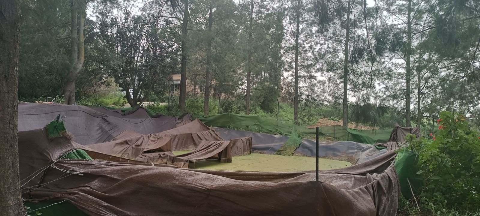 2 camera da letto Finca/Casa di Campagna in vendita in La Palma del Condado con garage - 190.000 € (Rif: 8177676)