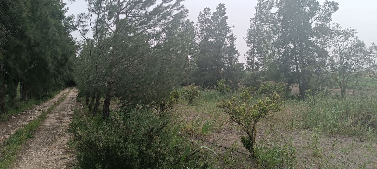 2 camera da letto Finca/Casa di Campagna in vendita in La Palma del Condado con garage - 190.000 € (Rif: 8177676)