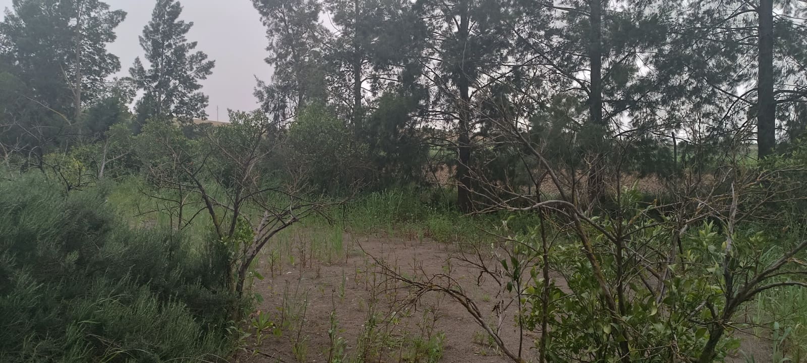 2 camera da letto Finca/Casa di Campagna in vendita in La Palma del Condado con garage - 190.000 € (Rif: 8177676)