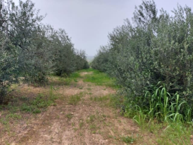 2 camera da letto Finca/Casa di Campagna in vendita in La Palma del Condado con garage - 190.000 € (Rif: 8177676)