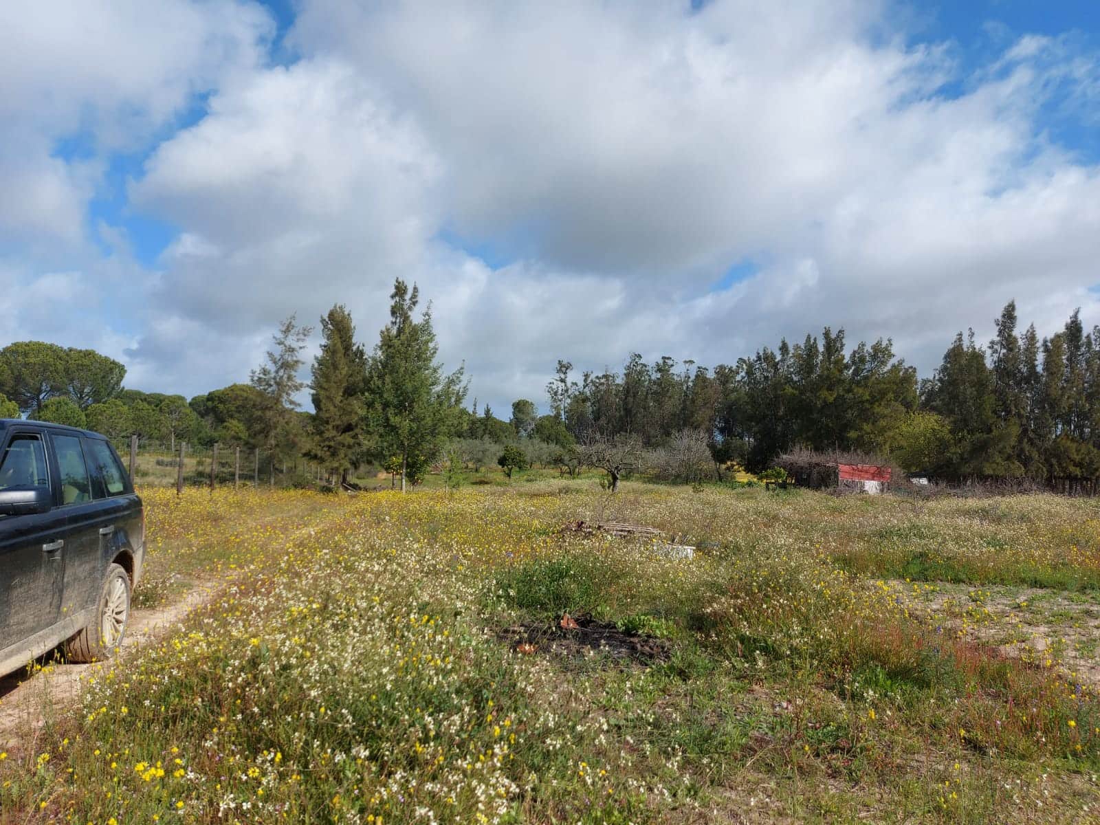 Lejlighed til salg i Almonte - € 34.000 (Ref: 8185255)