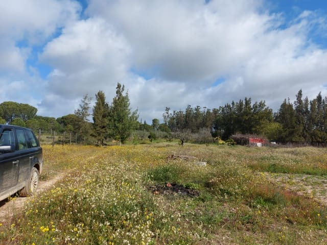 Leilighet til salgs i Almonte - € 34 000 (Ref: 8185255)