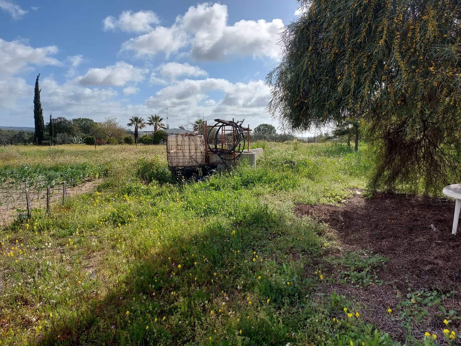 Lejlighed til salg i Almonte - € 34.000 (Ref: 8185255)