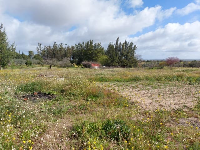 Leilighet til salgs i Almonte - € 34 000 (Ref: 8185255)