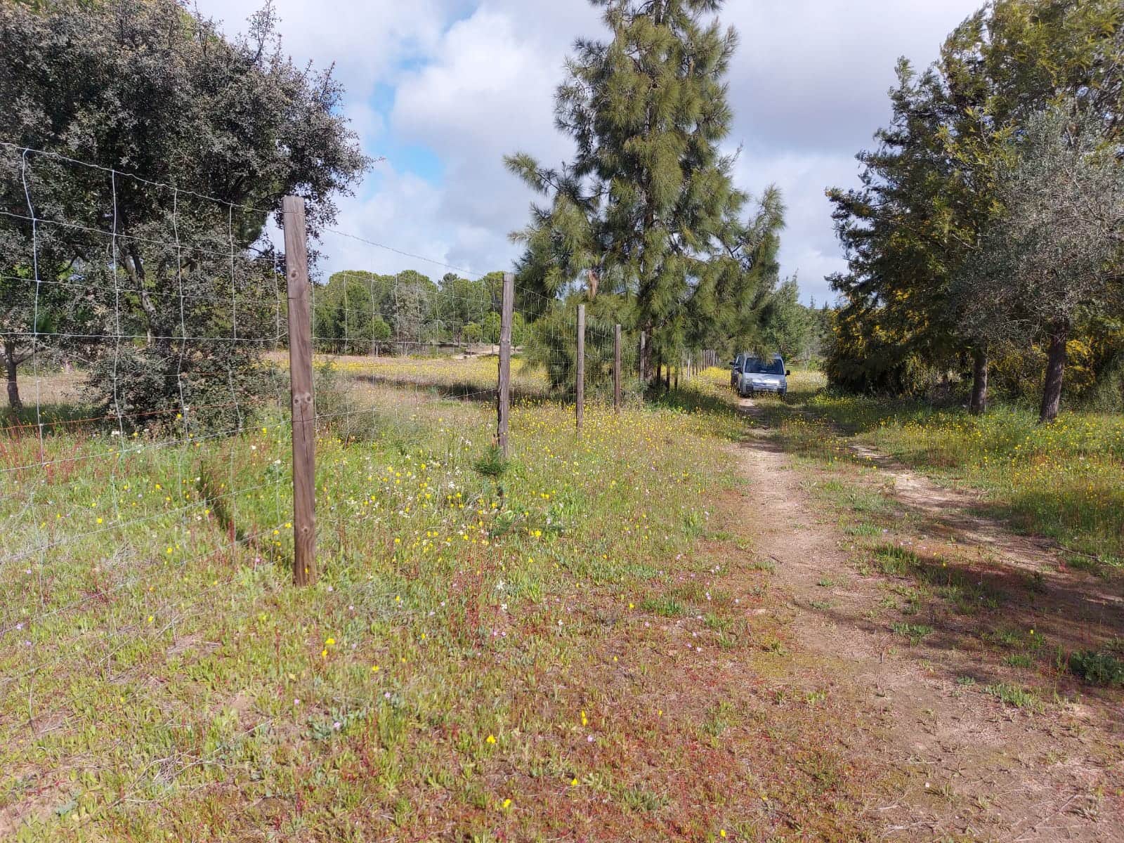 Lejlighed til salg i Almonte - € 34.000 (Ref: 8185255)