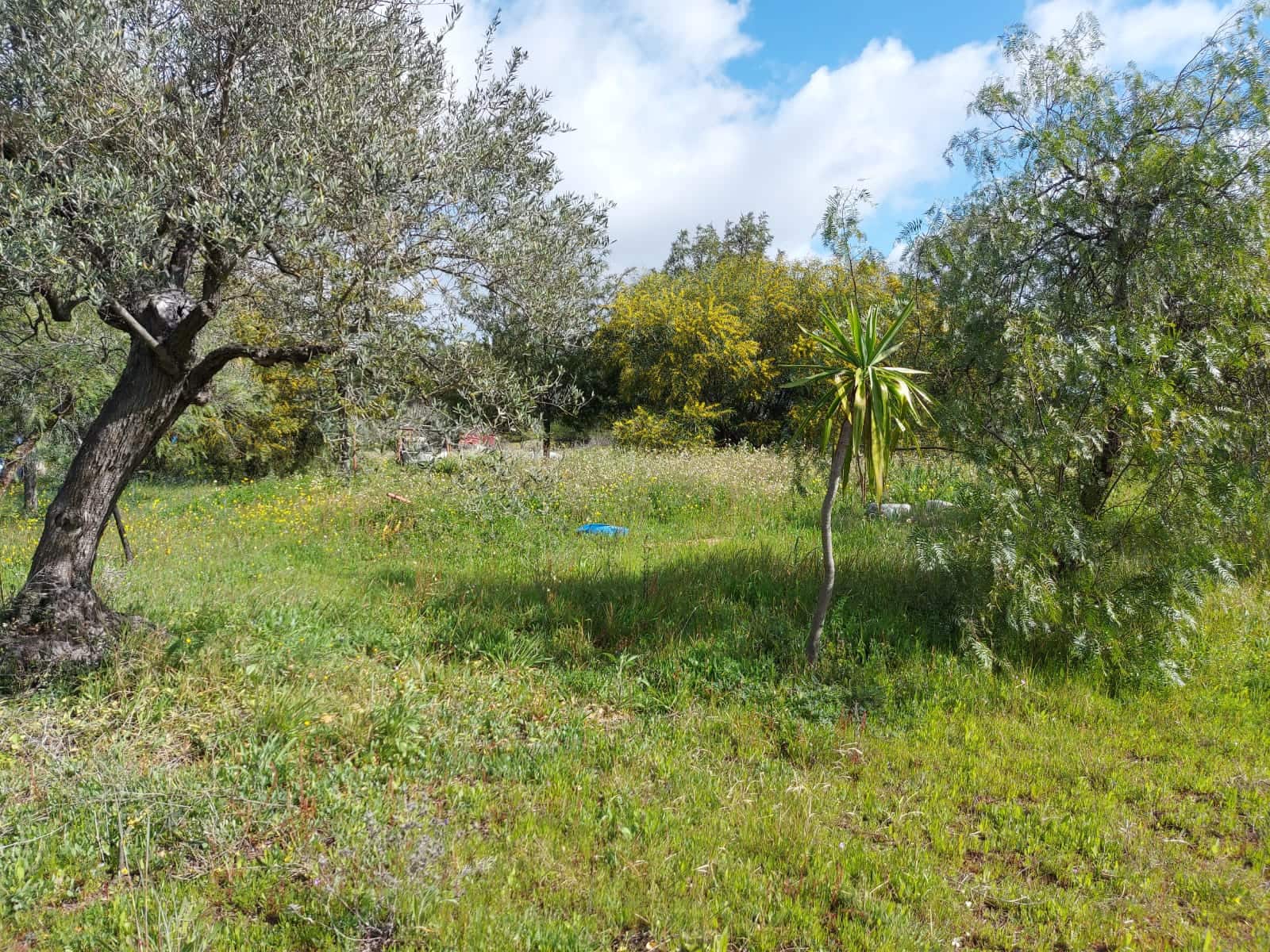 Lejlighed til salg i Almonte - € 34.000 (Ref: 8185255)