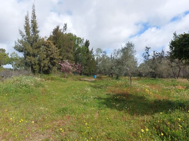 Leilighet til salgs i Almonte - € 34 000 (Ref: 8185255)