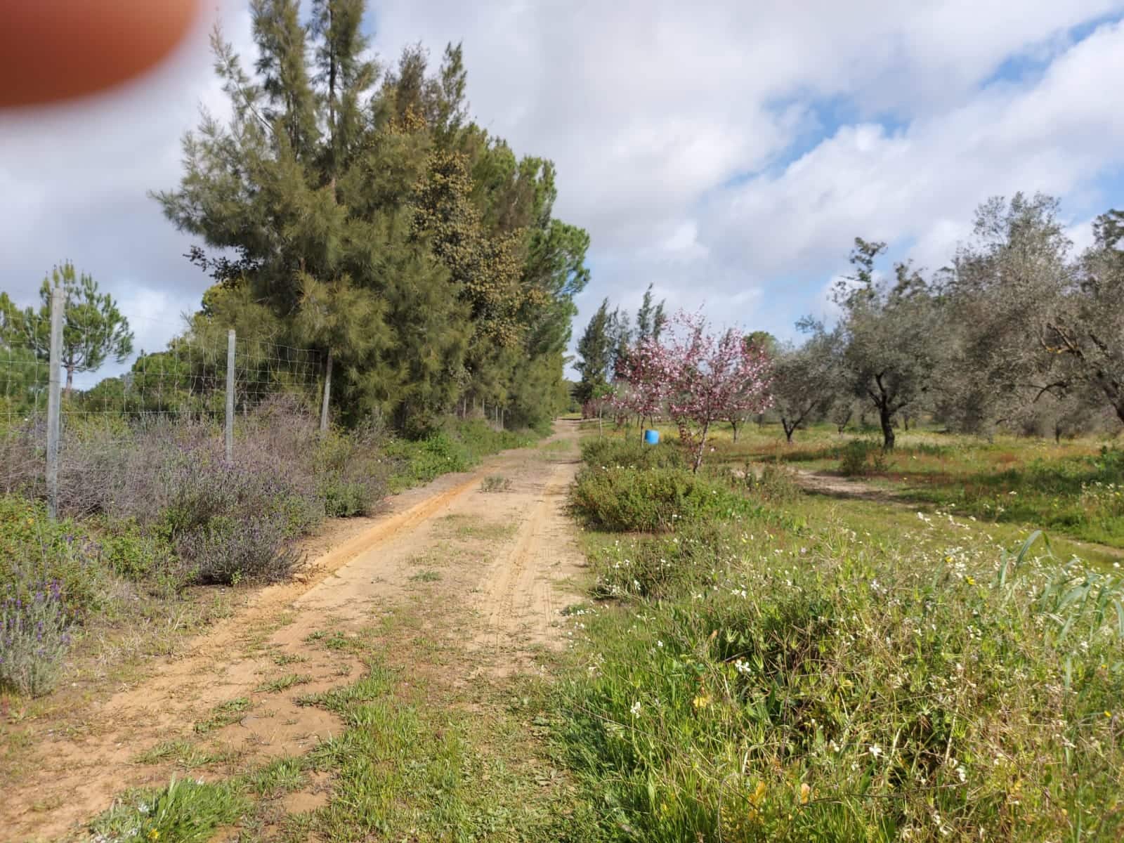 Lejlighed til salg i Almonte - € 34.000 (Ref: 8185255)