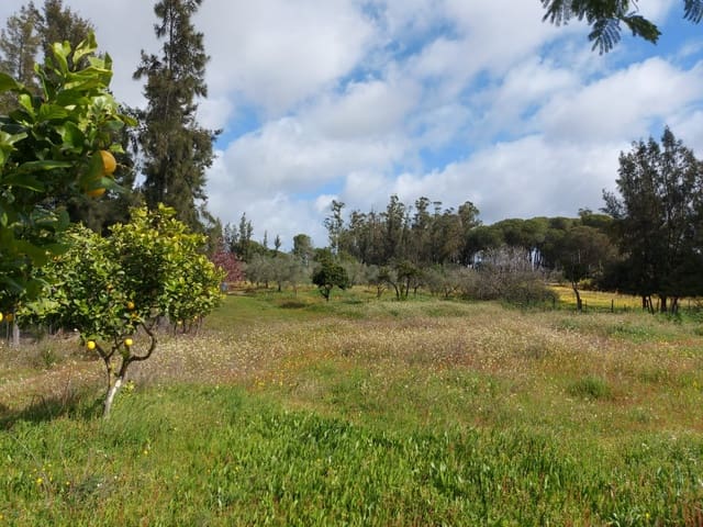 Leilighet til salgs i Almonte - € 34 000 (Ref: 8185255)