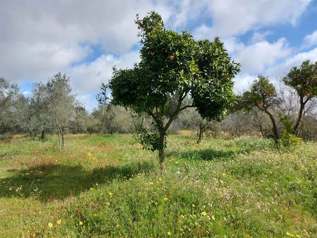 Leilighet til salgs i Almonte - € 34 000 (Ref: 8185255)