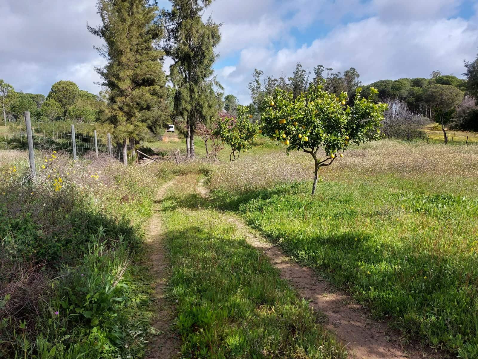 Lejlighed til salg i Almonte - € 34.000 (Ref: 8185255)