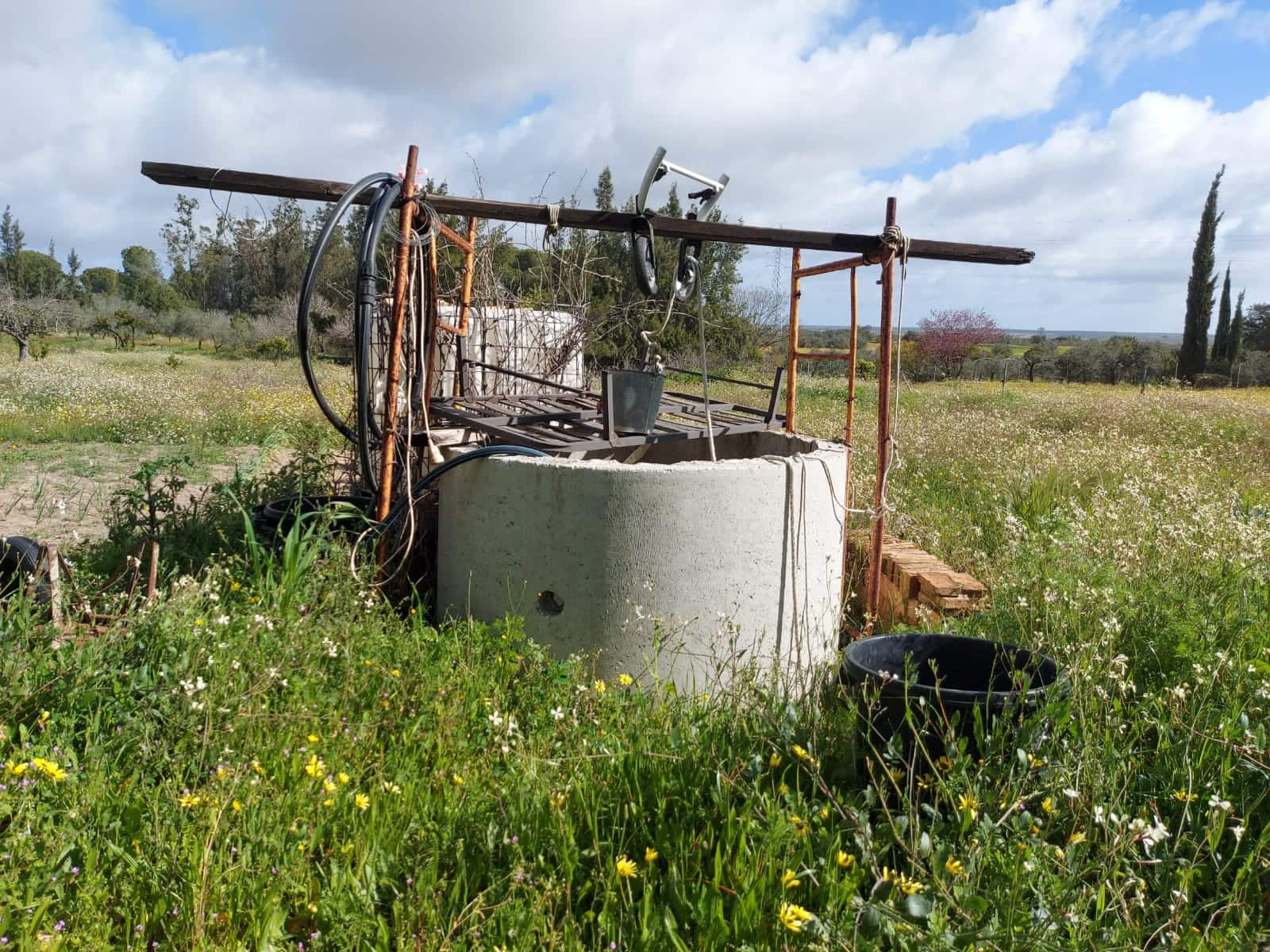 Lejlighed til salg i Almonte - € 34.000 (Ref: 8185255)