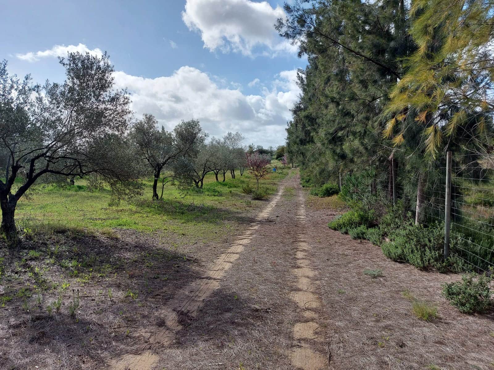 Lejlighed til salg i Almonte - € 34.000 (Ref: 8185255)