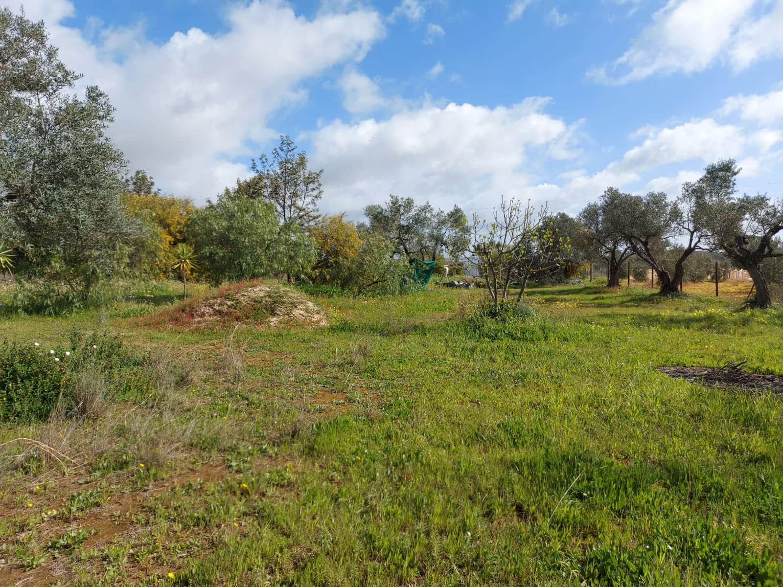 Lejlighed til salg i Almonte - € 34.000 (Ref: 8185255)