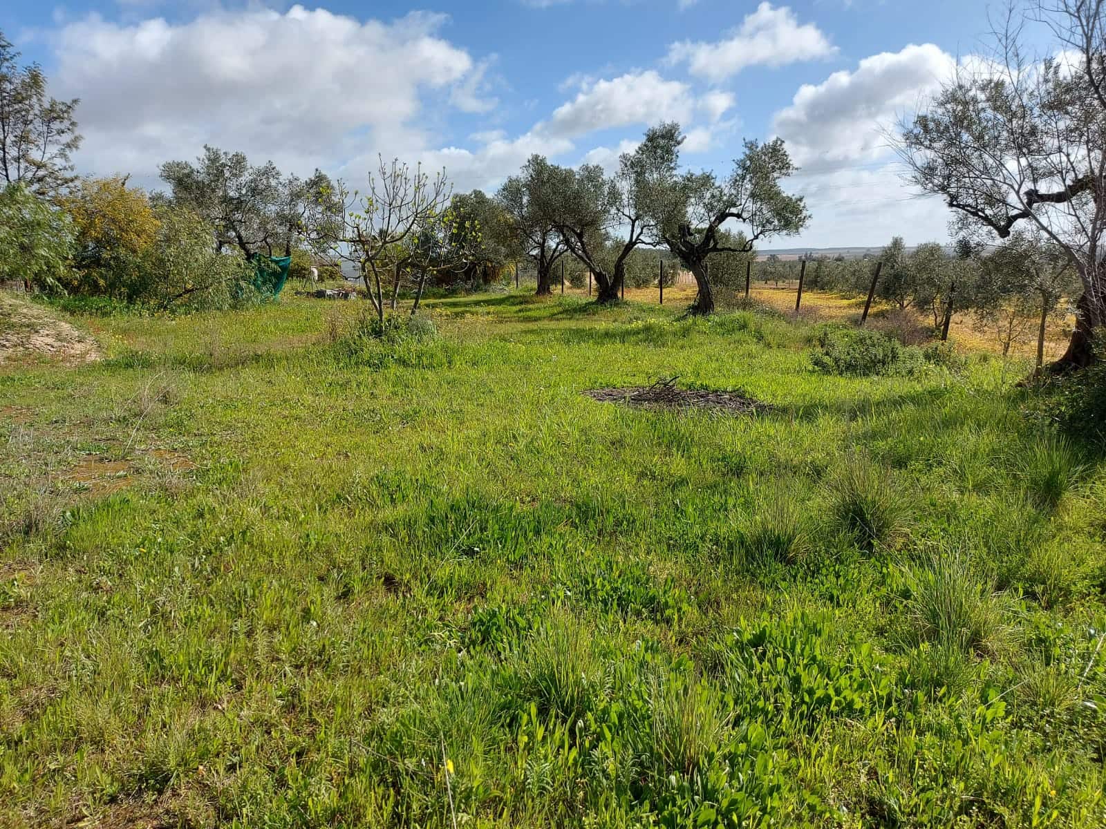 Lejlighed til salg i Almonte - € 34.000 (Ref: 8185255)