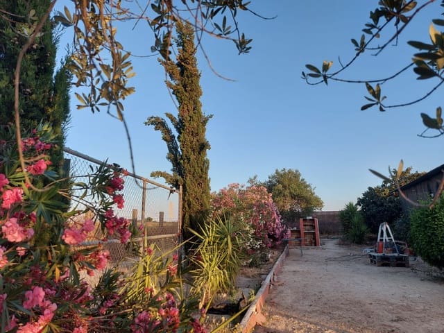 3 chambre Finca/Maison de Campagne à vendre à Almonte avec piscine garage - 98 000 € (Ref: 8369576)