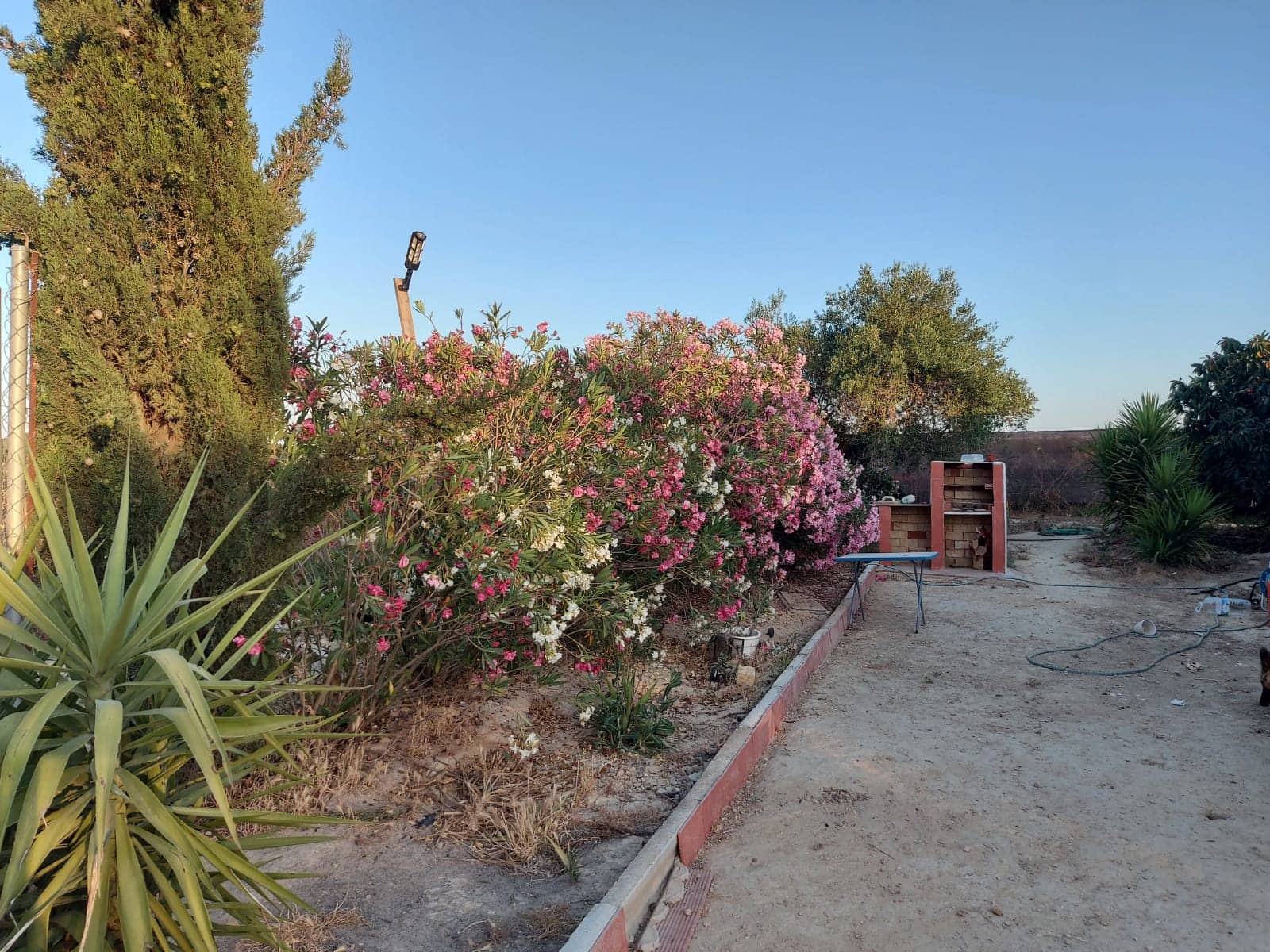 3 soveværelse Finca/Landehus til salg i Almonte med swimmingpool garage - € 98.000 (Ref: 8369576)