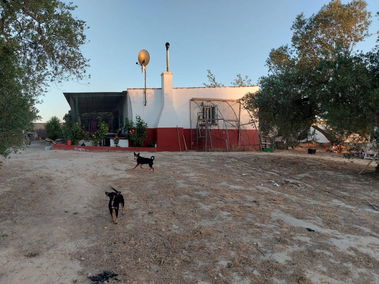 2 bedroom Finca/Country House for sale in Almonte with pool € 125,000