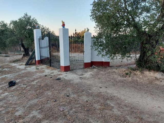 3 chambre Finca/Maison de Campagne à vendre à Almonte avec piscine garage - 98 000 € (Ref: 8369576)