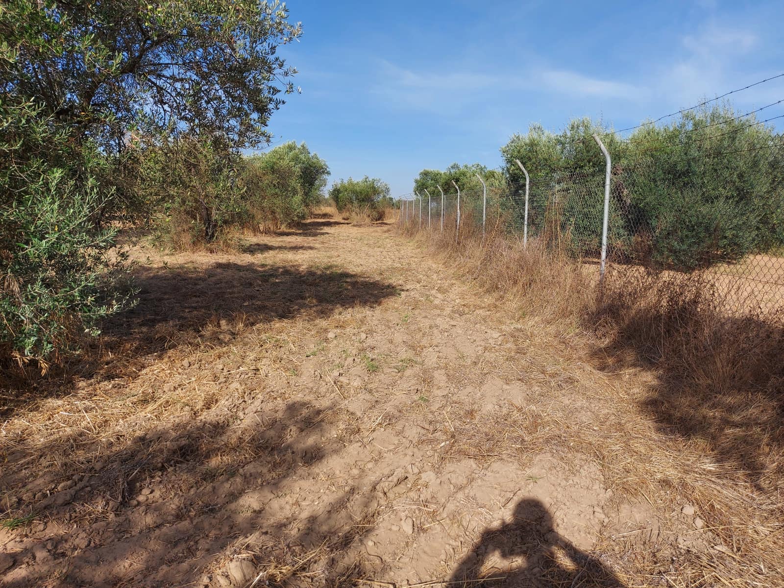 Byggegrund til salg i Almonte - € 16.000 (Ref: 8524791)