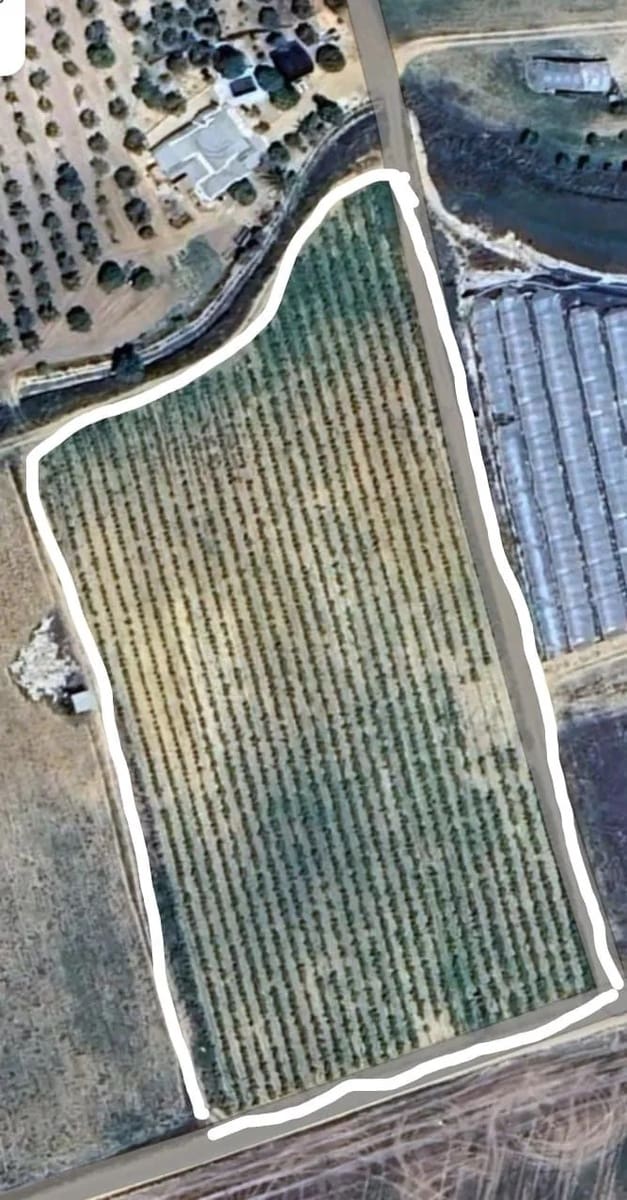 Terreno para Construção para venda em Almonte - 28 000 € (Ref: 8554039)