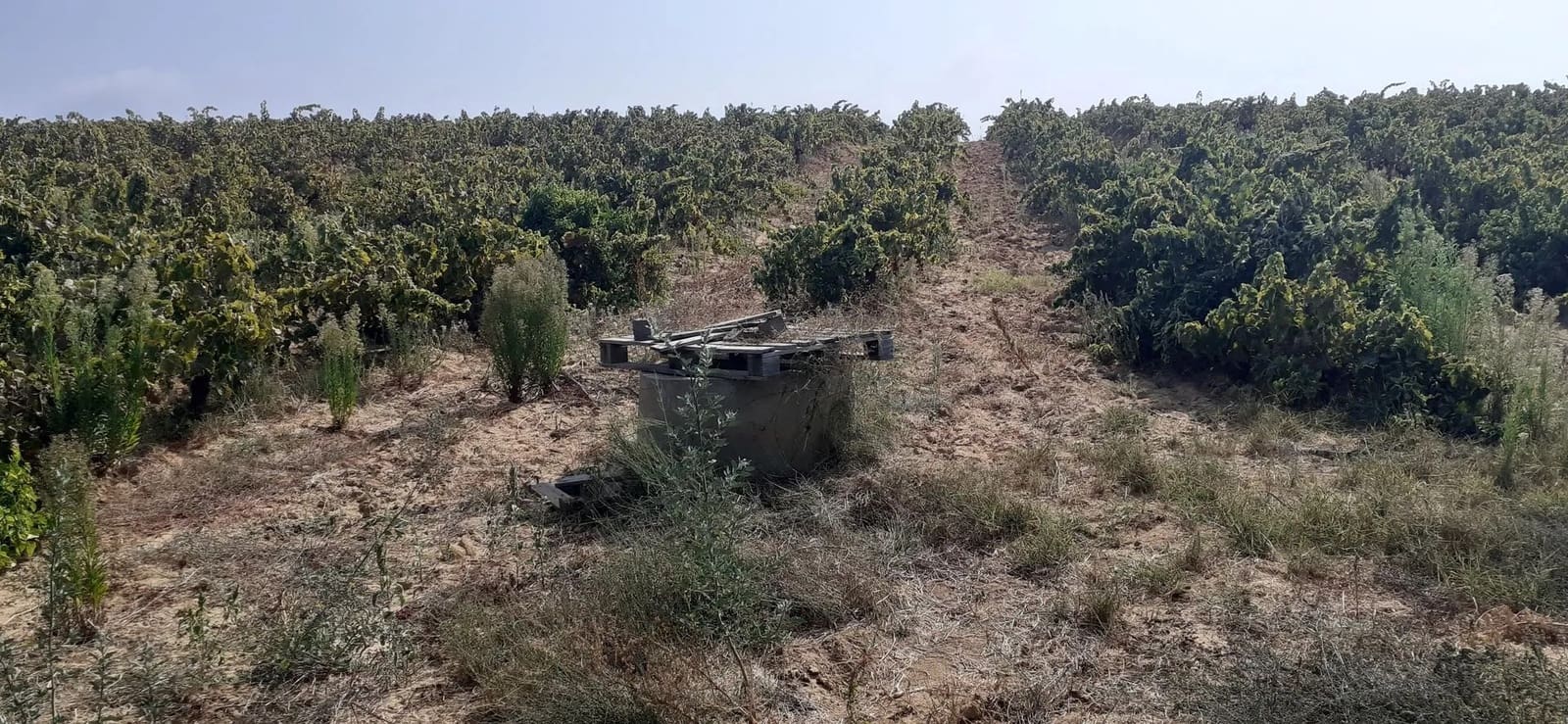 Terreno para Construção para venda em Almonte - 28 000 € (Ref: 8554039)