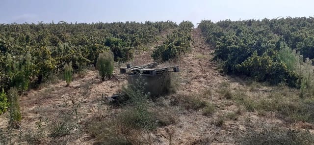 Building Plot for sale in Almonte - € 28,000 (Ref: 8554039)