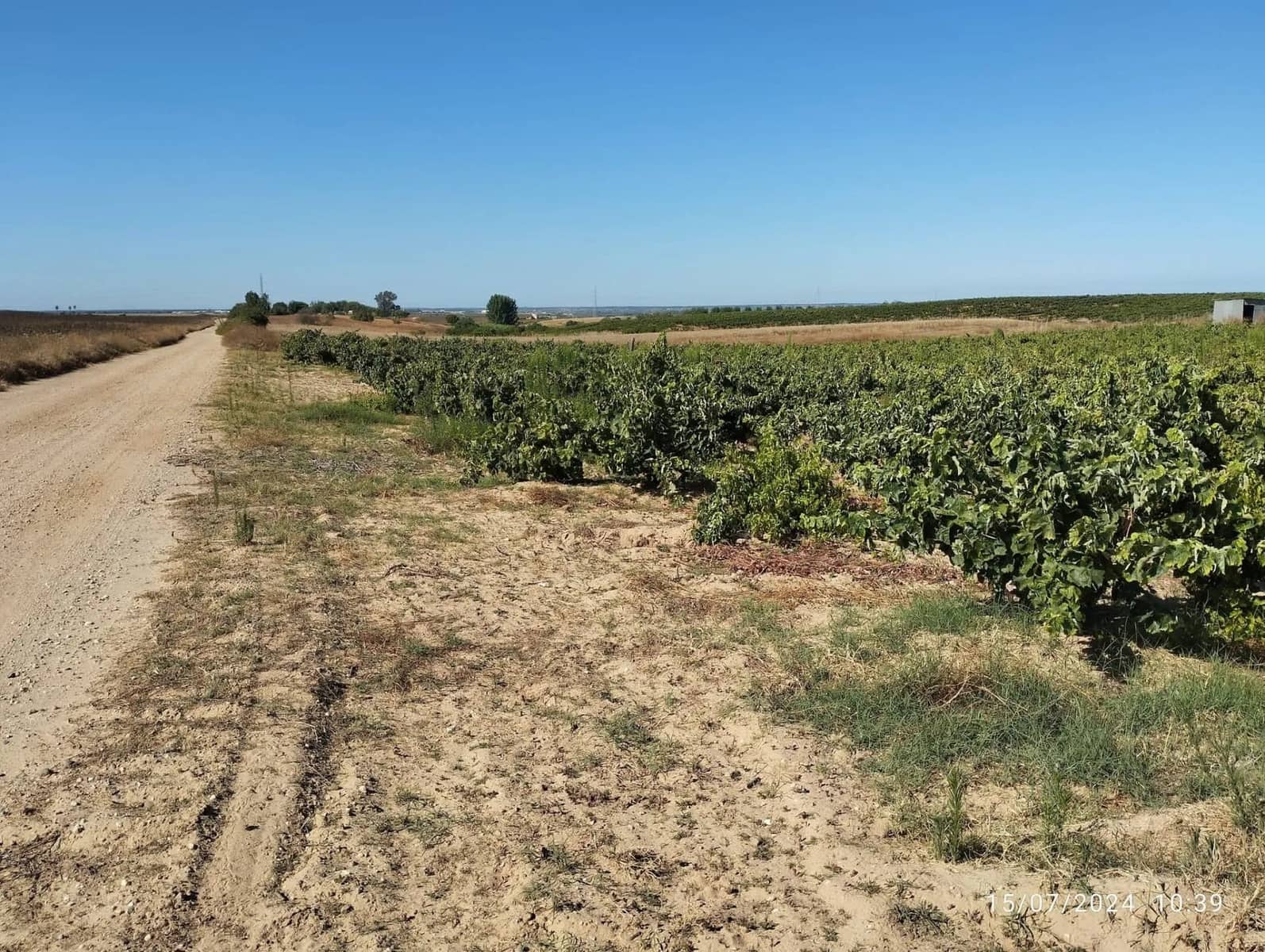 Terreno para Construção para venda em Almonte - 28 000 € (Ref: 8554039)