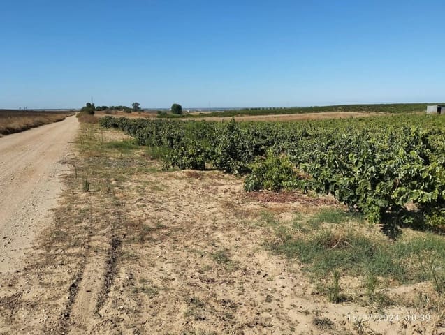 Building Plot for sale in Almonte - € 28,000 (Ref: 8554039)