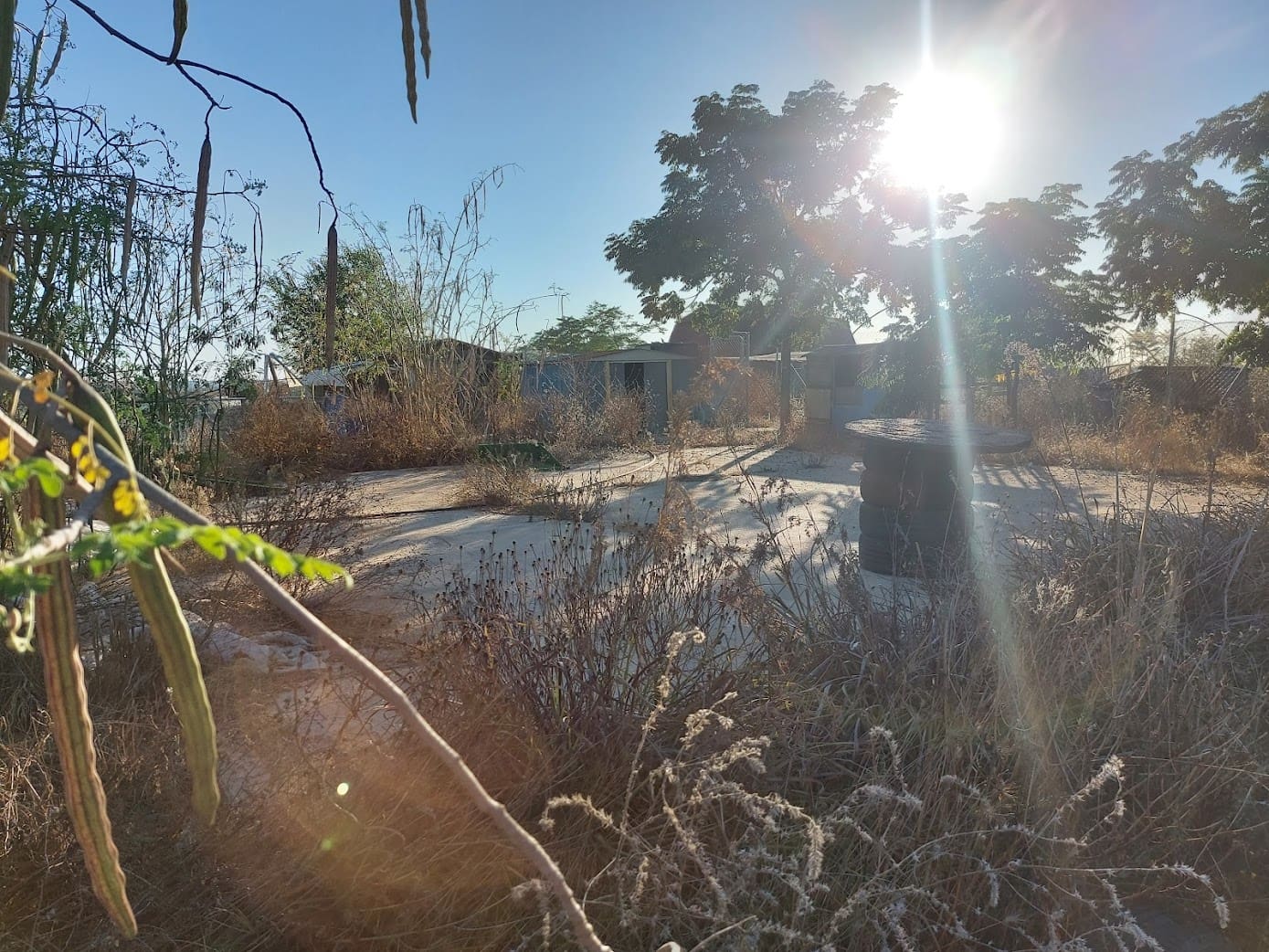 5 slaapkamer Finca/Landhuis te koop in Almonte met garage - € 135.000 (Ref: 8556599)