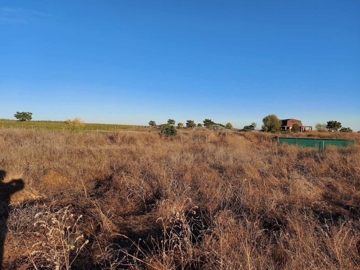 5 slaapkamer Finca/Landhuis te koop in Almonte met garage - € 135.000 (Ref: 8556599)