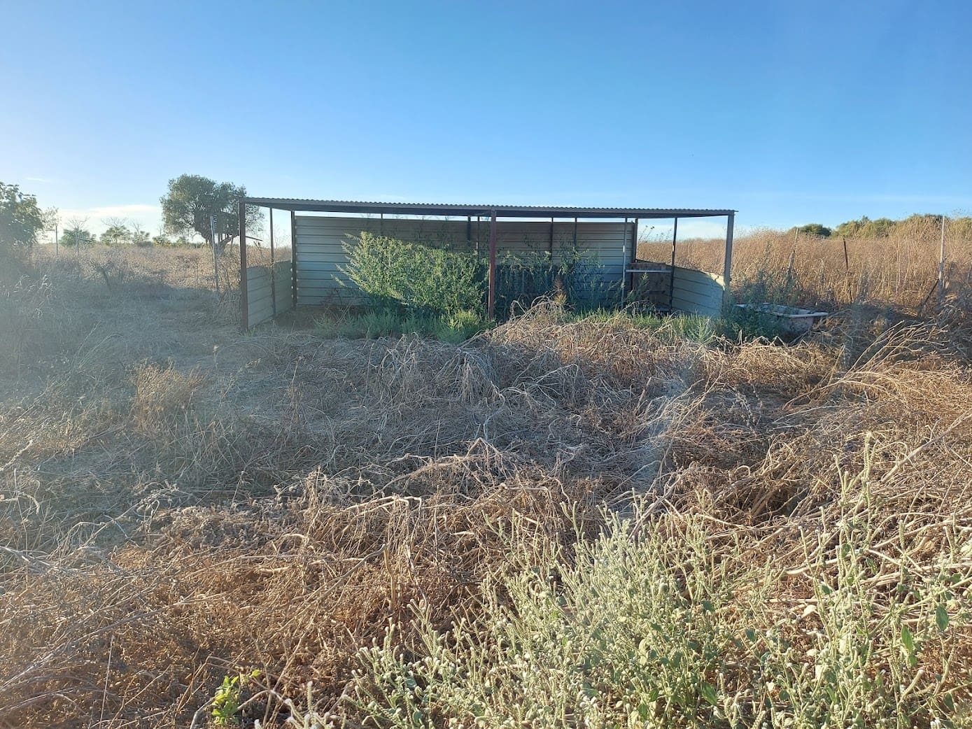 5 slaapkamer Finca/Landhuis te koop in Almonte met garage - € 135.000 (Ref: 8556599)