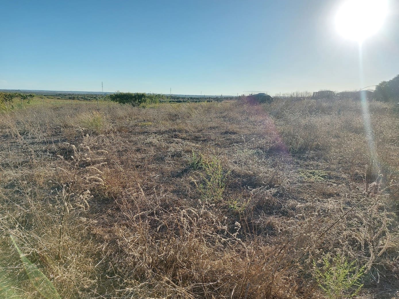 5 slaapkamer Finca/Landhuis te koop in Almonte met garage - € 135.000 (Ref: 8556599)