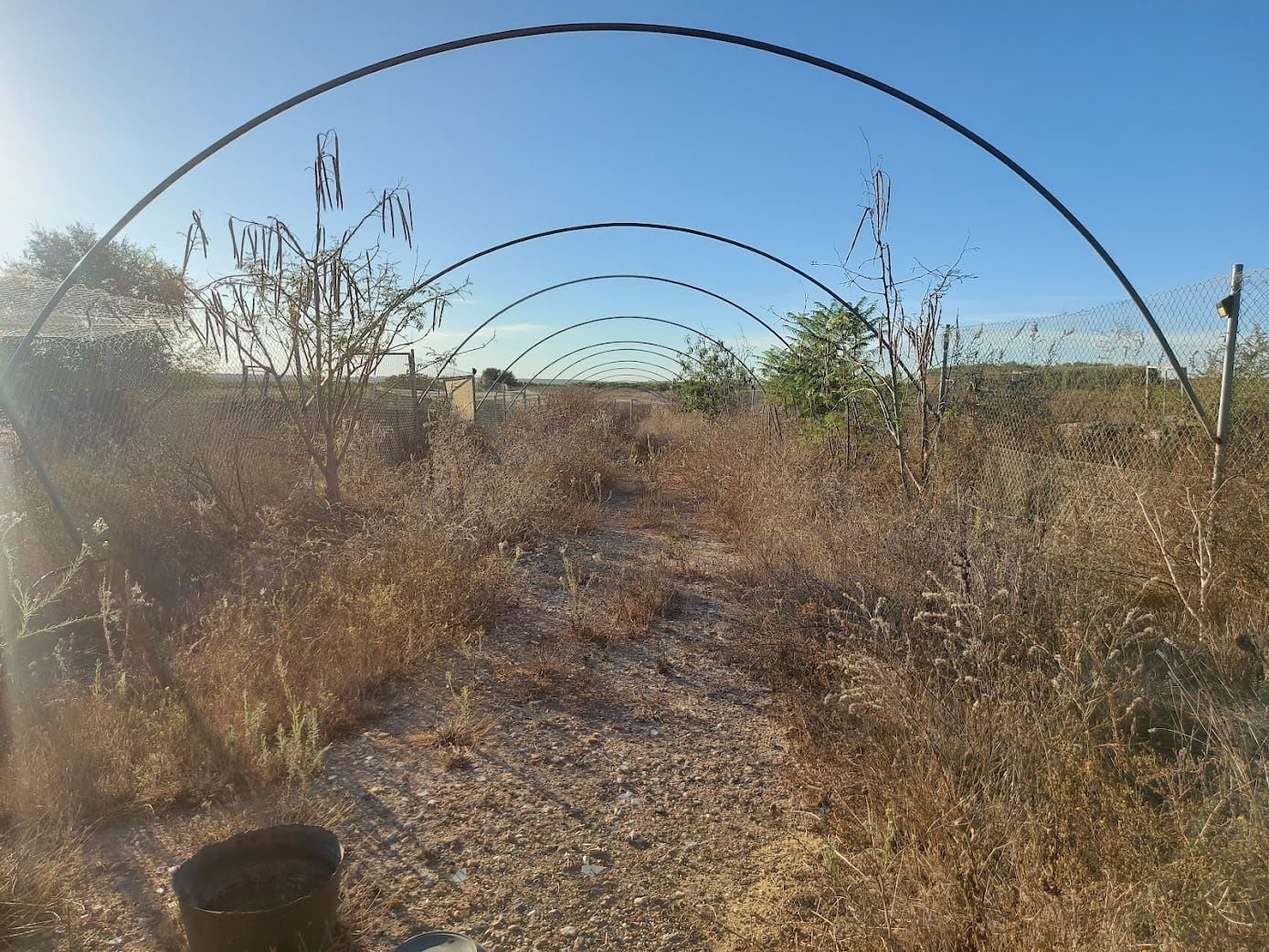 5 slaapkamer Finca/Landhuis te koop in Almonte met garage - € 135.000 (Ref: 8556599)