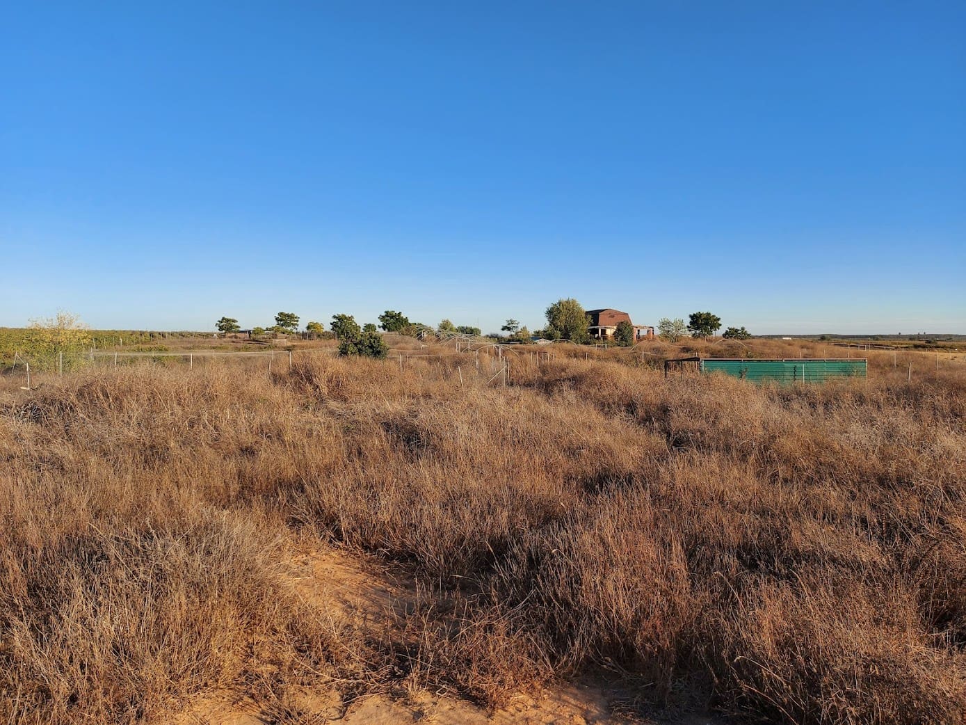 5 slaapkamer Finca/Landhuis te koop in Almonte met garage - € 135.000 (Ref: 8556599)