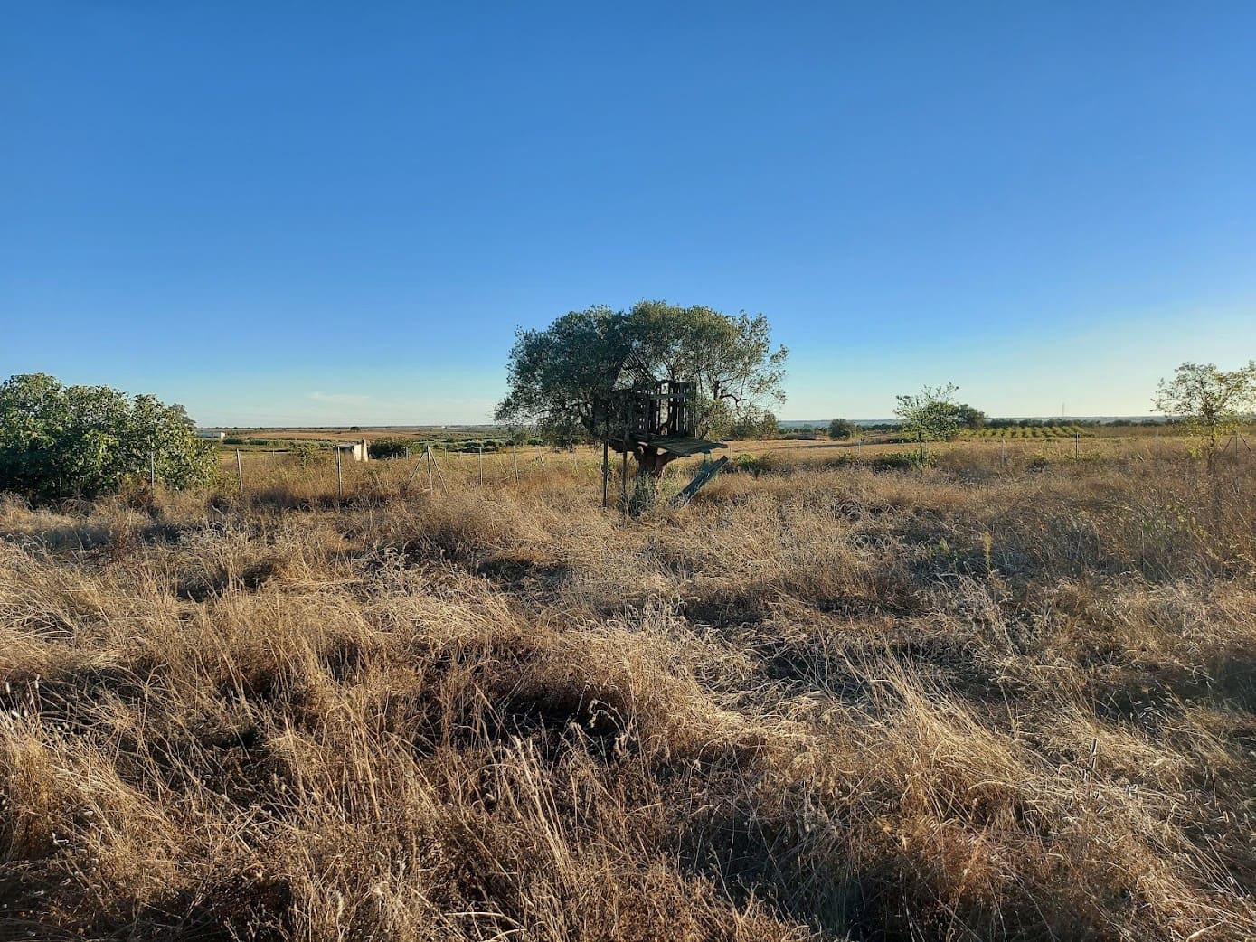 5 slaapkamer Finca/Landhuis te koop in Almonte met garage - € 135.000 (Ref: 8556599)