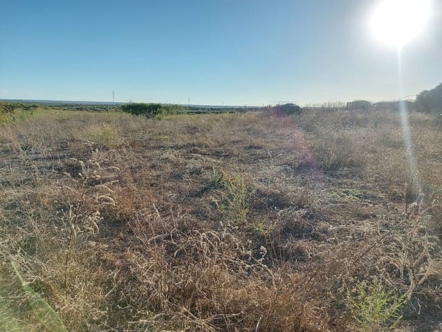 5 Zimmer Finca/Landgut zu verkaufen in Almonte mit Garage - 135.000 € (Ref: 8556599)