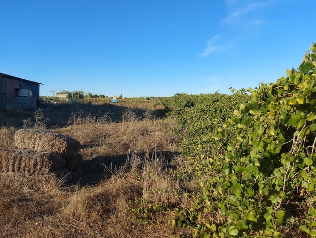 5 Zimmer Finca/Landgut zu verkaufen in Almonte mit Garage - 135.000 € (Ref: 8556599)