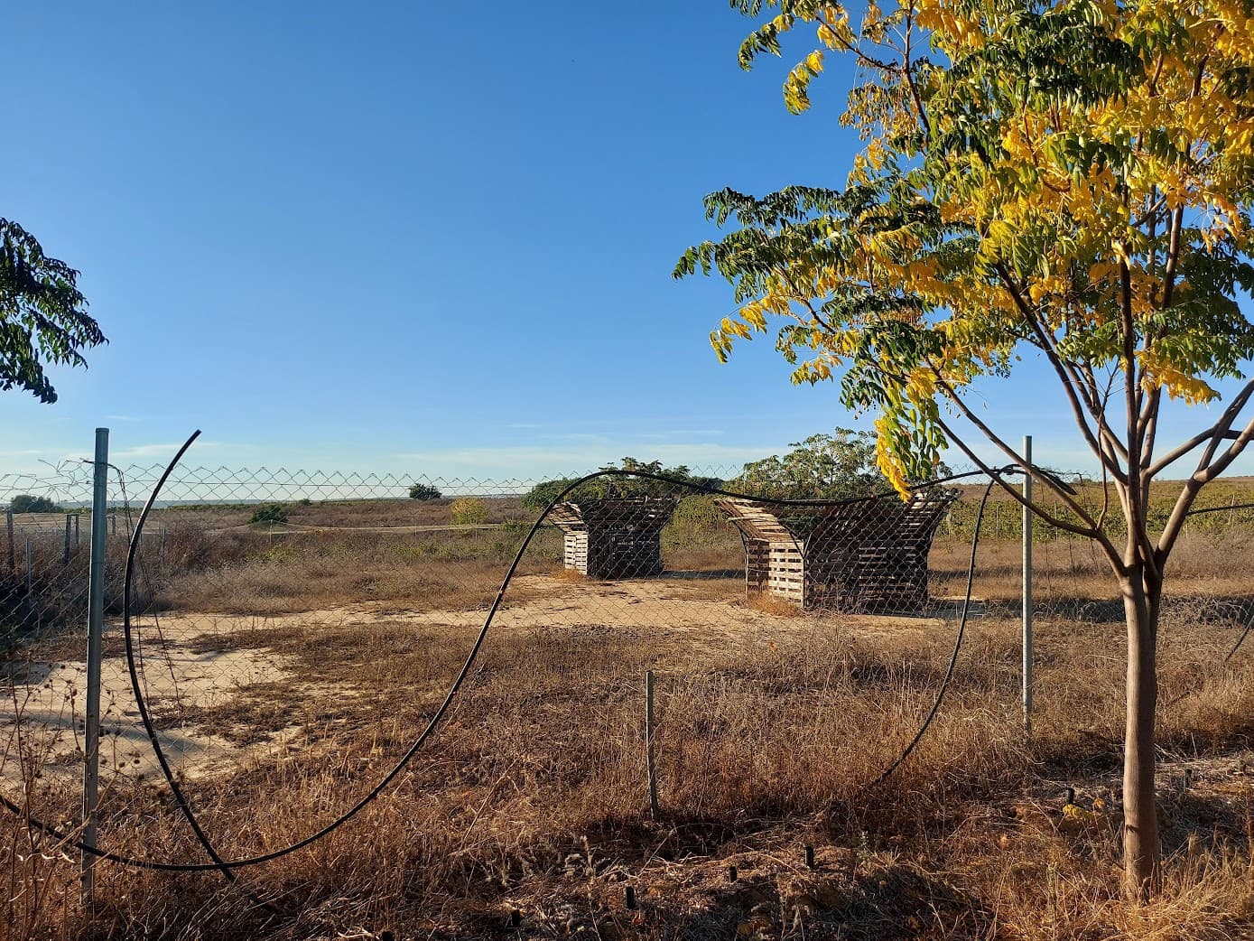 5 slaapkamer Finca/Landhuis te koop in Almonte met garage - € 135.000 (Ref: 8556599)