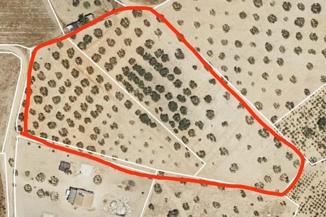 Tontti myytävänä paikassa Almonte - 29 000 € (Ref: 8603300)