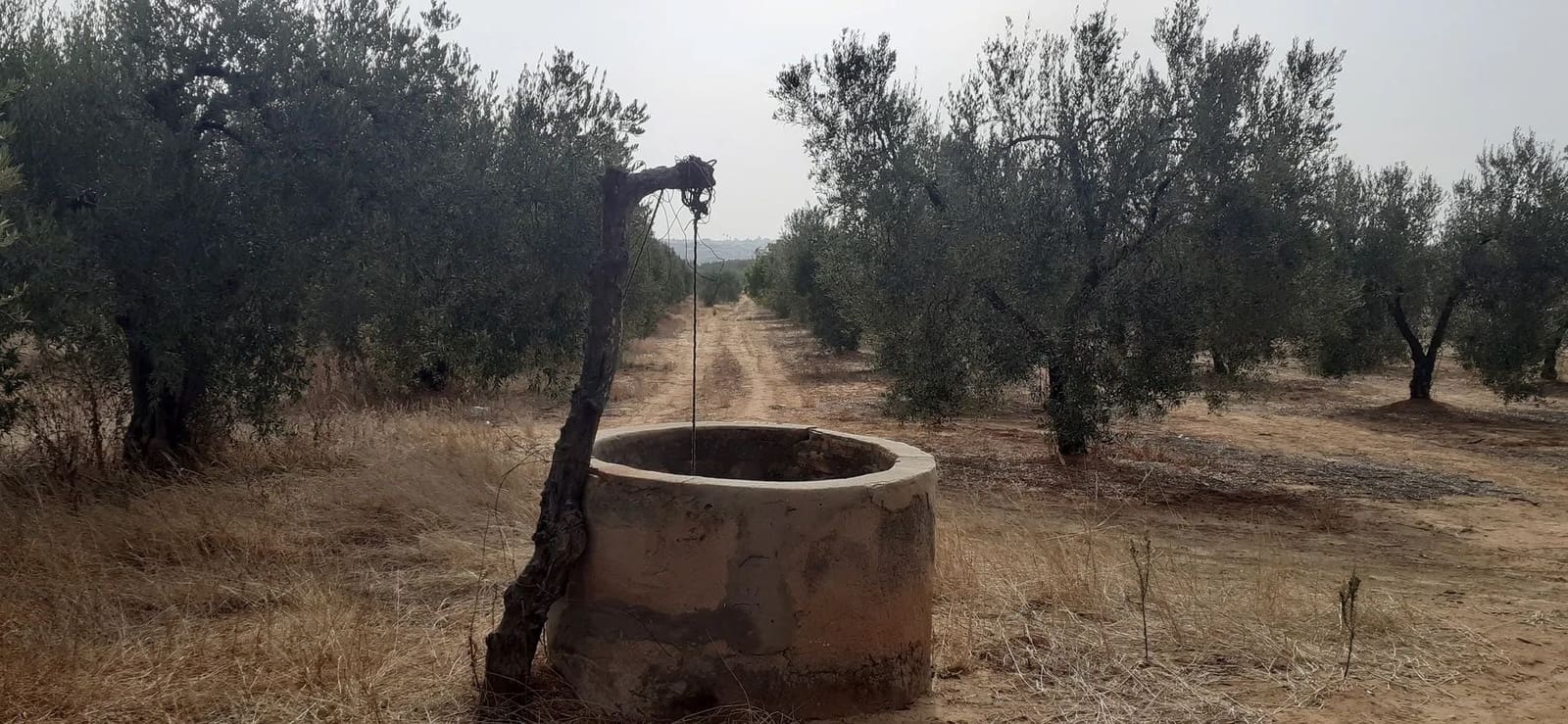 Byggegrund til salg i Almonte - € 29.000 (Ref: 8603300)