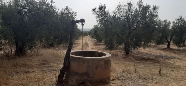 Tontti myytävänä paikassa Almonte - 29 000 € (Ref: 8603300)